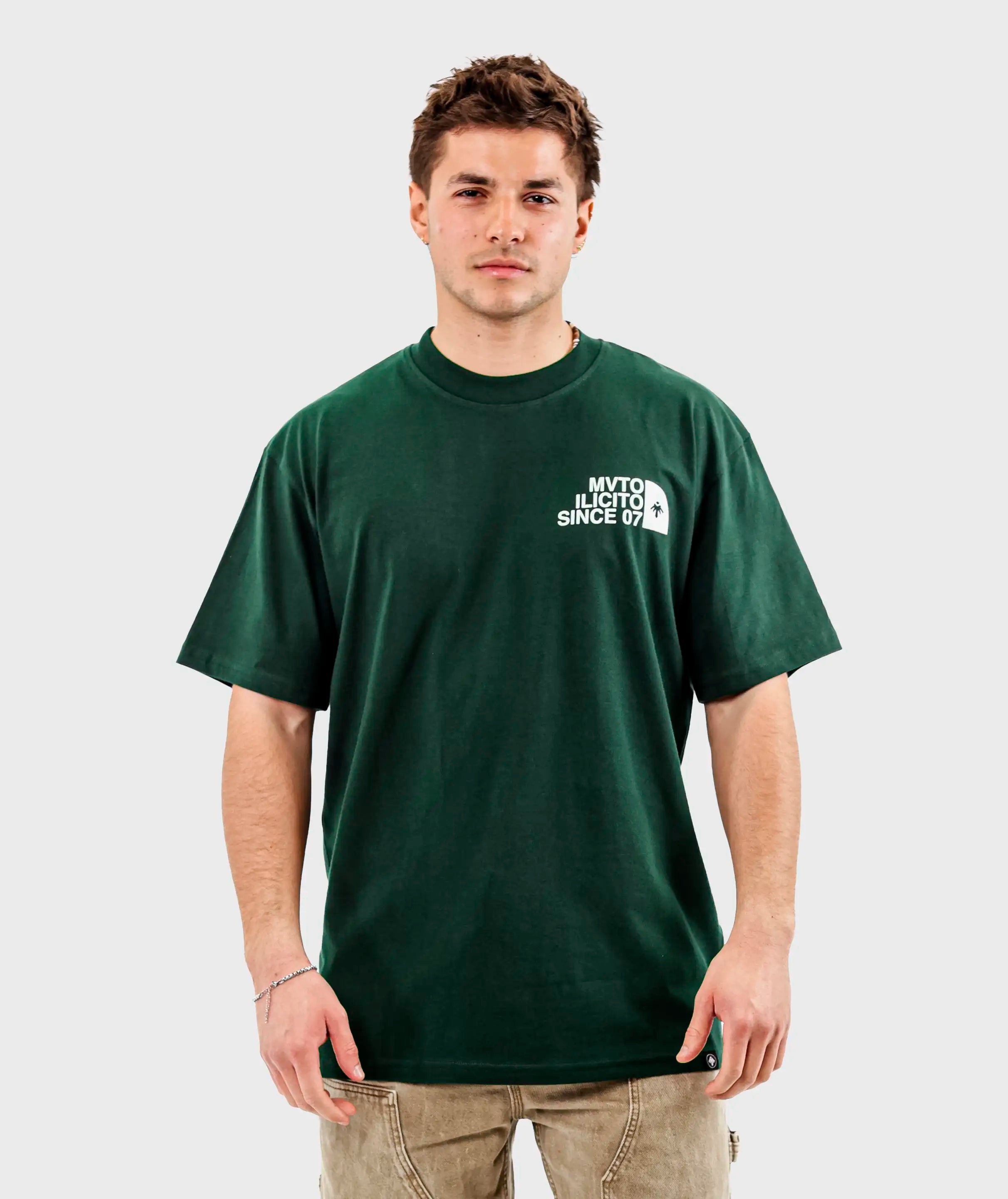 Camiseta The North Face