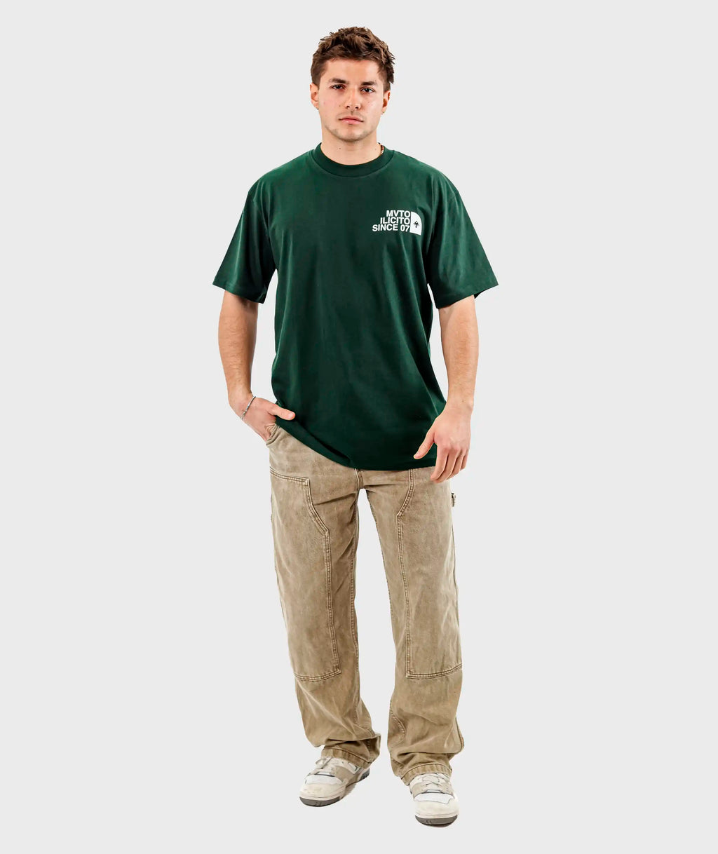 Camiseta The North Face