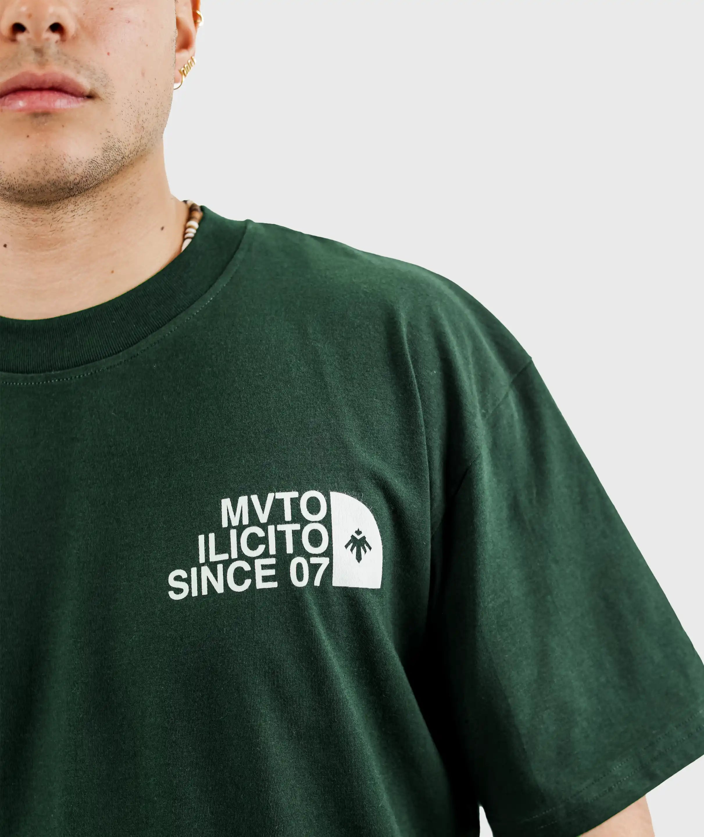 Camiseta The North Face